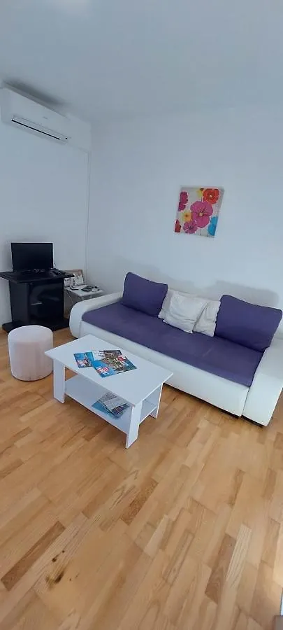 Apartment Viki Zara